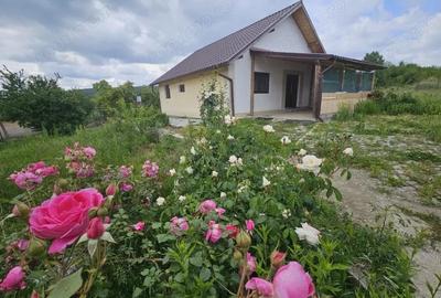 Vanzare casa situata in comuna Balane?ti, sat Voite?tii din Vale - 10