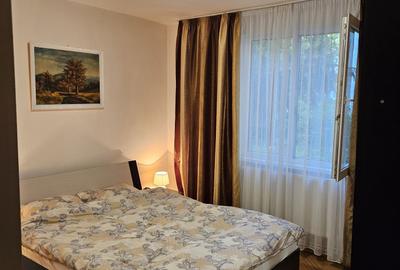 Apartament cu 3 camere decomandat în Dâmbu Pietros - 3