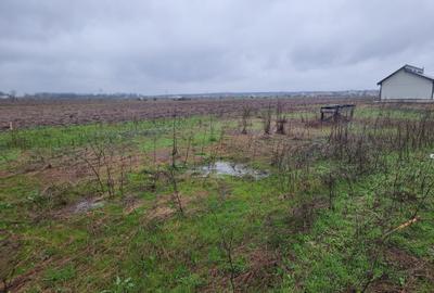 Teren Construcții intravilan de 400 mp, în Tărtășești - 6