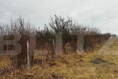 Teren de 2900 mp, în Central - 7