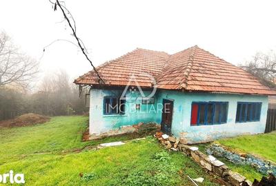 Casă cu 4 camere cu Teren 716 Mp în Baia de Fier - 7