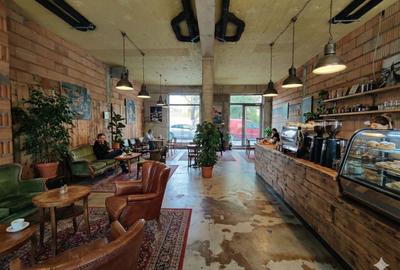 Spațiu comercial, de 103 mp, în Costin Georgian - 3