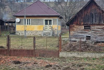 Casă cu 3 camere cu Teren 3300 Mp în Luncoiu de Jos - 2