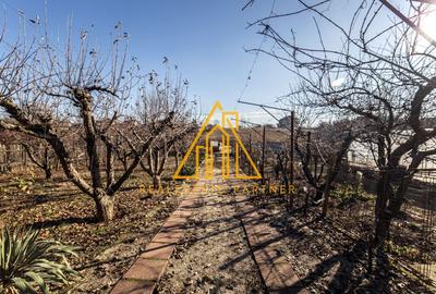 Casa superba, Adunatii Copaceni - 33