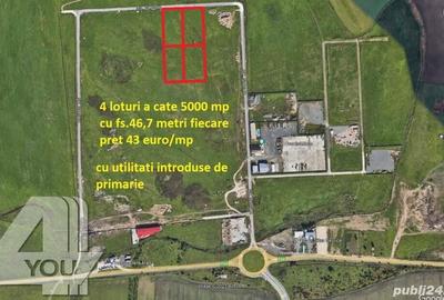 Teren intravilan 5000 mp Zona industriala Nord fs.47 ml cu utilitati - 2
