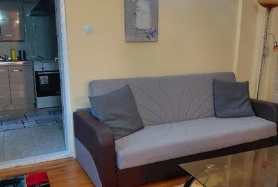 Inchiriez apartament  de 2 camere la  Pta Ch de Gaulle - 9