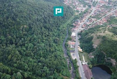 Teren Intravilan, in ora?ul Sebi?, Arad - 8