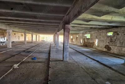 Hala industriala + teren 2.615 mp loca?ie strategica, Oradea Calea Bor?ului - 2