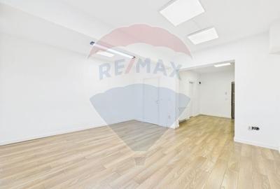 Apartament 2 camere | Demisol inalt | Damaroaia - 3