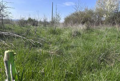 Teren de 4800 mp, în Aninoasa - 2