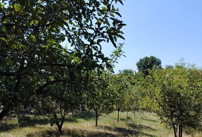 Casă cu 2 camere în Răbăgani - 2