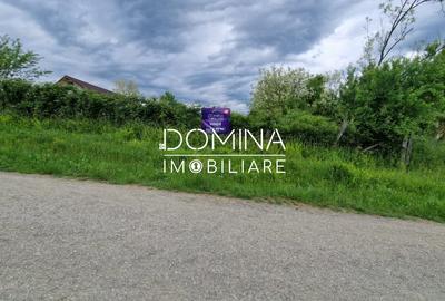 Teren Construcții intravilan de 2948 mp, în Tismana - 9