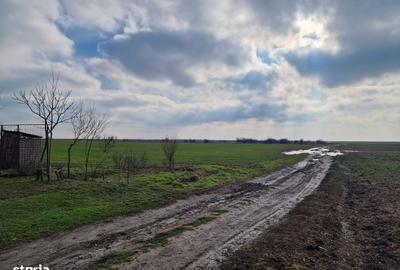 Spațiu comercial, în Orăști - 2