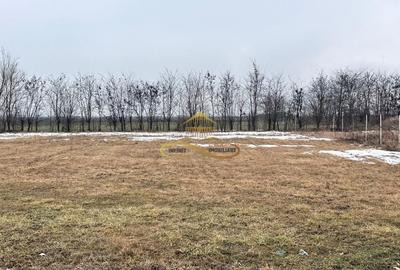 Teren de 900 mp, în Săucești - 6