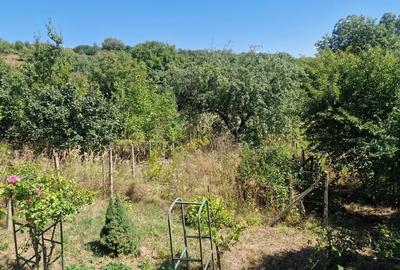 Casa in mediu rural cu teren - 23