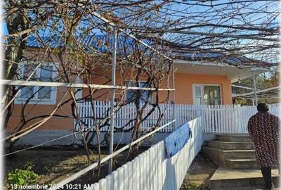 Casă cu 3 camere cu Teren 3303 Mp în Iana - 4