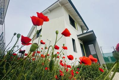 🏡 Casă tip duplex de închiriat | DUMBRAVITA | Confort și Relaxare | - 1