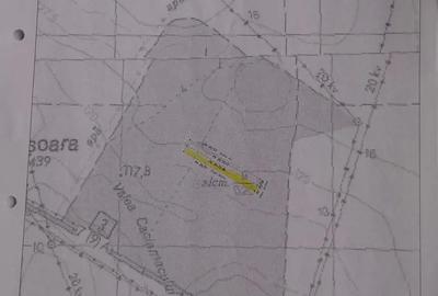 Teren de 12000 mp, în Cobadin - 2