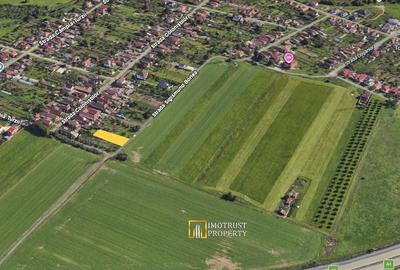 Teren Construcții intravilan de 700 mp, în Aradul Nou - 3