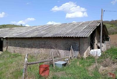 Casă cu 2 camere cu Teren 5300 Mp în Sânpaul - 5