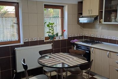 Vânzare vila P+1+M - 5