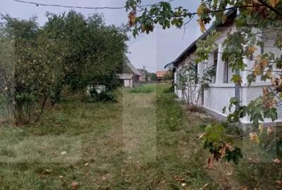 Casă cu 3 camere cu Teren 856 Mp în Central - 3
