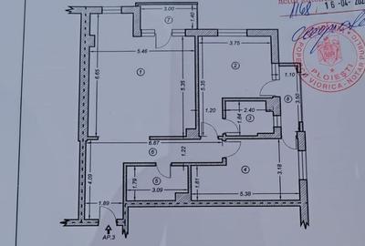 Apartament Nou. Albert 110 mp - 5