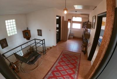 Vila Pantelimon Primarie 180mp Vezi Video - 15