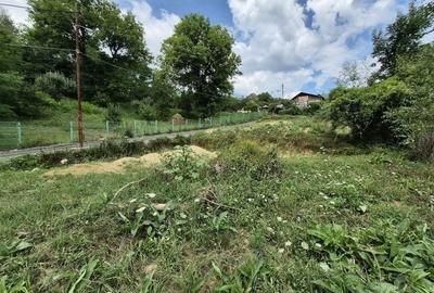 Teren intravilan-935 mp-dubla deschidere, Breaza-Valea Tarsei - 6