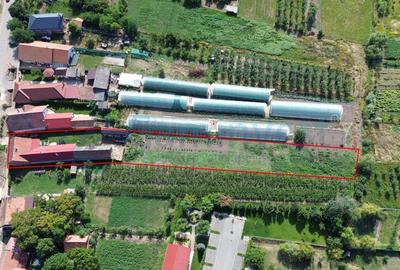 Casă individuală cu 3 camere cu Canalizare în Biharia - 4