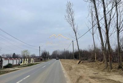 Teren Construcții intravilan de 4128 mp, în Gruiu - 3