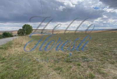 Spațiu comercial, în Rediu - 3