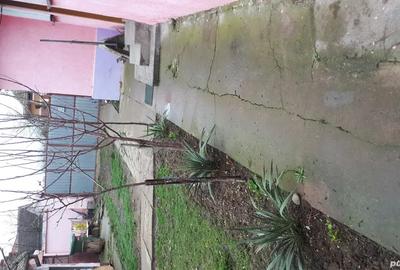 Vinzare casa - 3