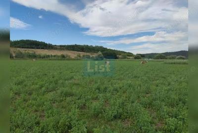 Teren de 22400 mp, în Fundătura - 3