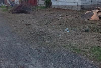 Casa la ro?u in comuna Barsa - 10