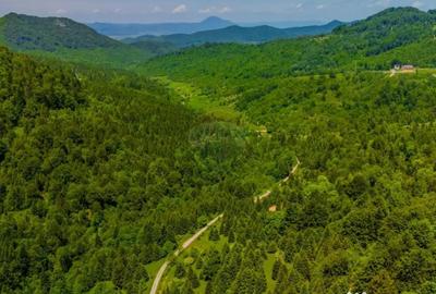 Teren de 14400 mp, în Cheile Râșnoavei - 5