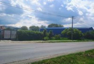 Teren Construcții intravilan de 4400 mp, în Cărpiniș - 6