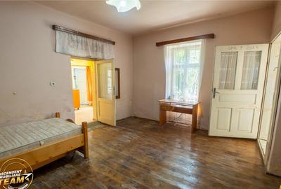 FILM!Doua case traditionale,pe domeniu cu peste 5.000mp tere - 17