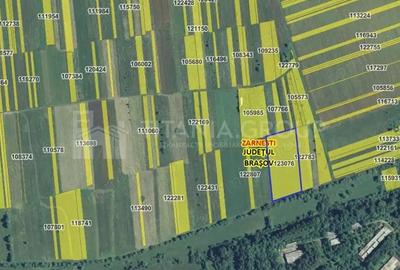 Teren de 7838 mp, în Zărnești - 11