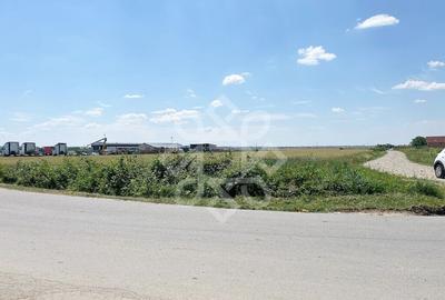 Teren intravilan 2 hectare zona Fan Courier - 5