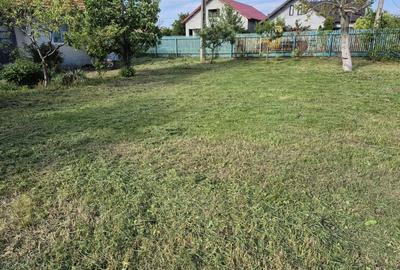 Casa batraneasca paianta - 8