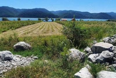 Teren de 2500 mp, în Berzasca - 19