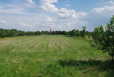 Vand proprietate in Miersig, jud.Bihor, la aproximativ 20 km de Oradea. - 4
