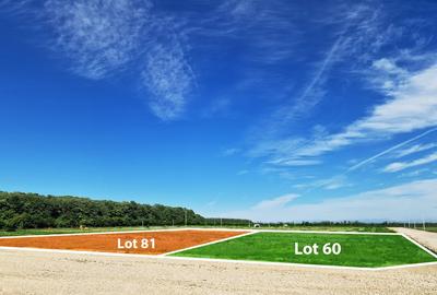 Crevedia, Dambovita - 4