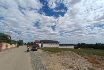 Descoperă o oportunitate rară: Teren intravilan- 2.000 mp în Zădăreni - 6