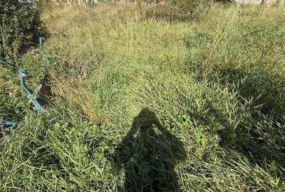Casa individuala cu 2 camere si 495 mp teren in Sura Mare - 8