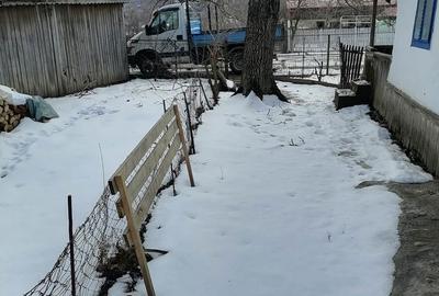 Casă cu 3 camere cu Teren 716 Mp în Central - 2