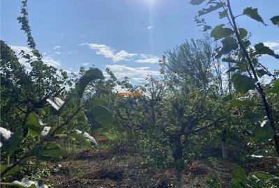 Casa cu teren intravilan in Suraia ,situata in zona centrala - 5