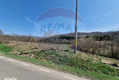 Teren de 9428 mp, în Mărgineni - 5