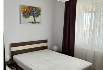 Aparatorii patriei cheile turzii studio - 9